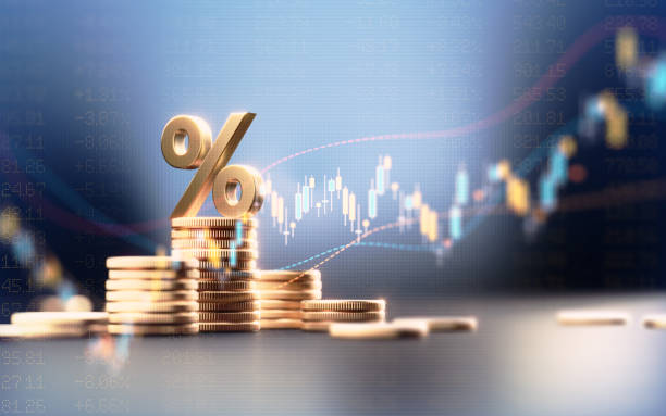Best Finance Deal Team
